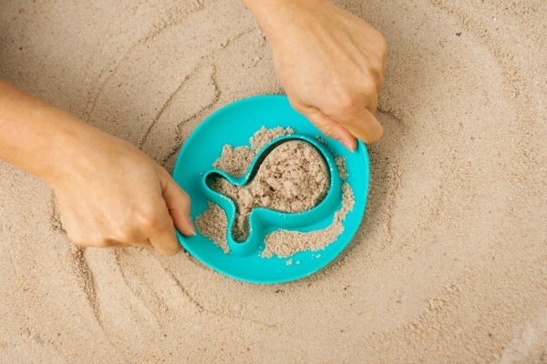 Quut -  Sandleke Starfish